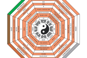 Bagua