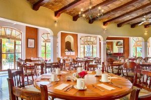 Bar El Delfin