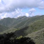 EL CHAPARRAL