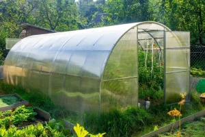 GREENHOUSE