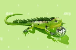 IGUANA DISCO