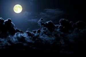 La Noche