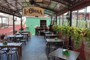 La Oruga y La Cebada