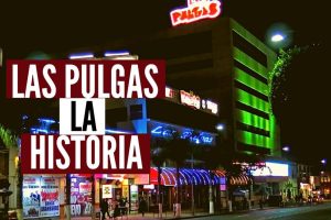 Las Pulgas Disco Club