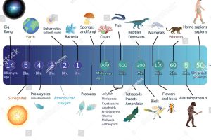 Life Evolution