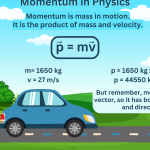 Momentum