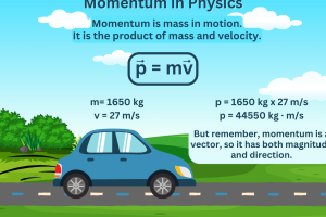 Momentum