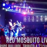 Red Mosquito Live
