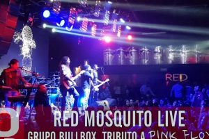 Red Mosquito Live