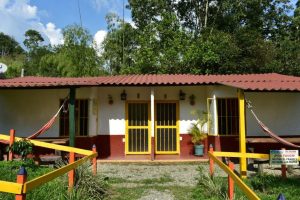 Terraza Palmar